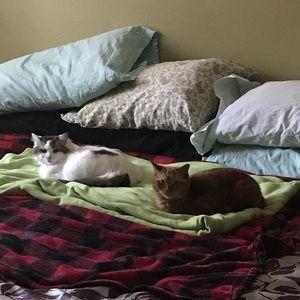 Meet your Posher, Stephen